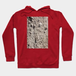 Dried Dirt Rubble Surface With Green Grass Stem Hoodie